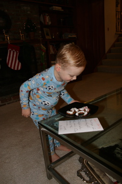 Cookies for Santa