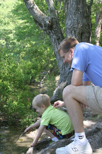 Hunting Tadpoles