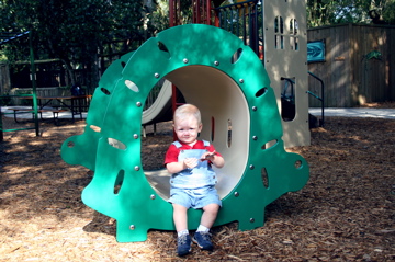 Collecting Treasures at the Playground IMG_2549.JPG