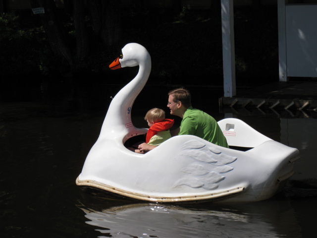 Swan Boat