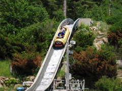 Bamboo Chute Ride