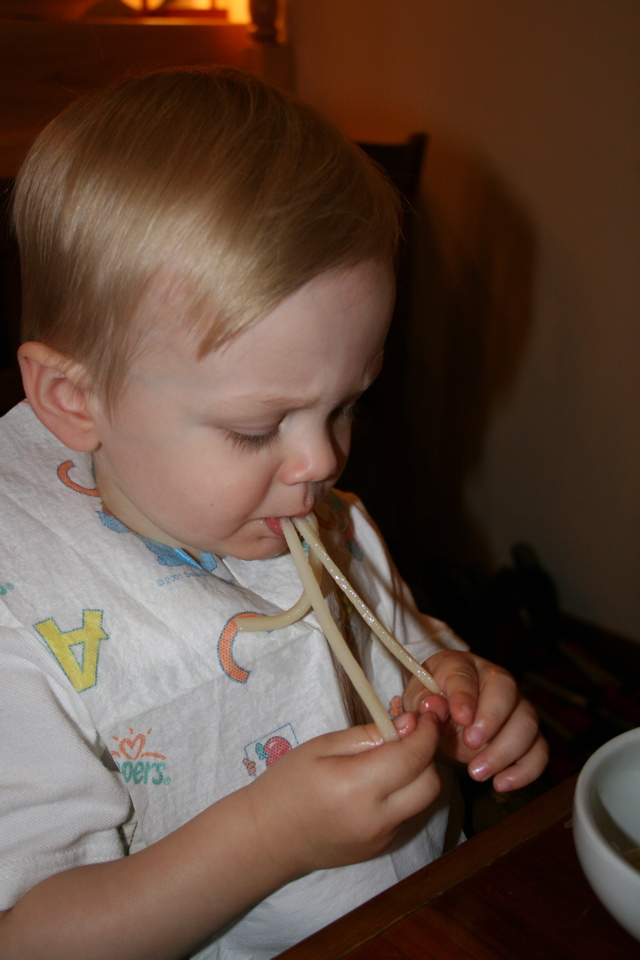 Slurping Udon in Brookline